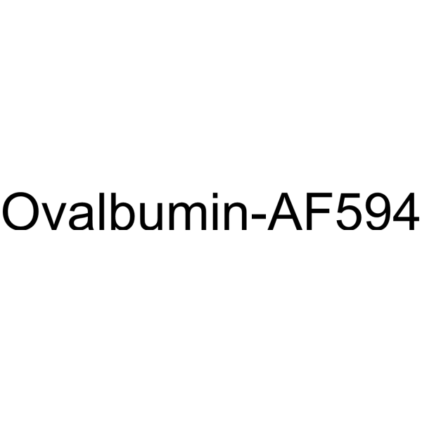 Ovalbumin-AF594